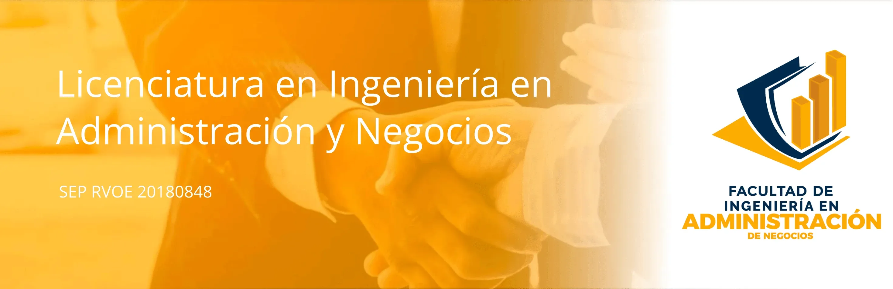 Ingeniería en Administración y Negocios